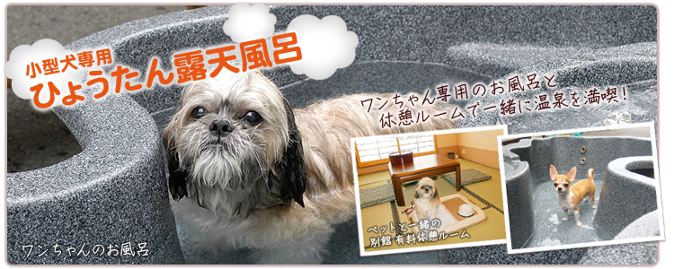 �ڥåȤˤ���Ϥ